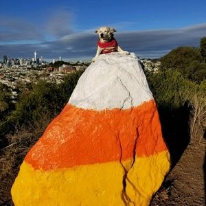 Meet your Posher, Mona